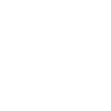 Digital Video Cameras